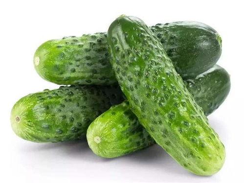 国产色黄瓜在线,绿色健康，美味可口的新宠儿