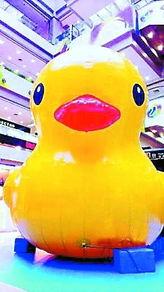 大黄鸭原创国产在线观看