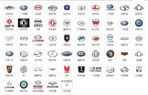 老司机国产2019在线