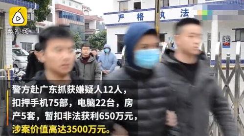 国产浪荡小视频在线播放